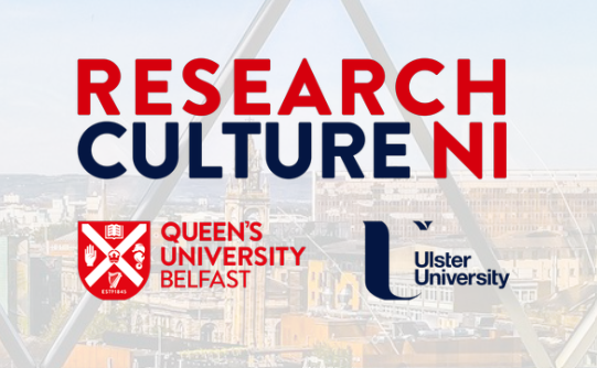  Research and innovation in Northern Ireland survey